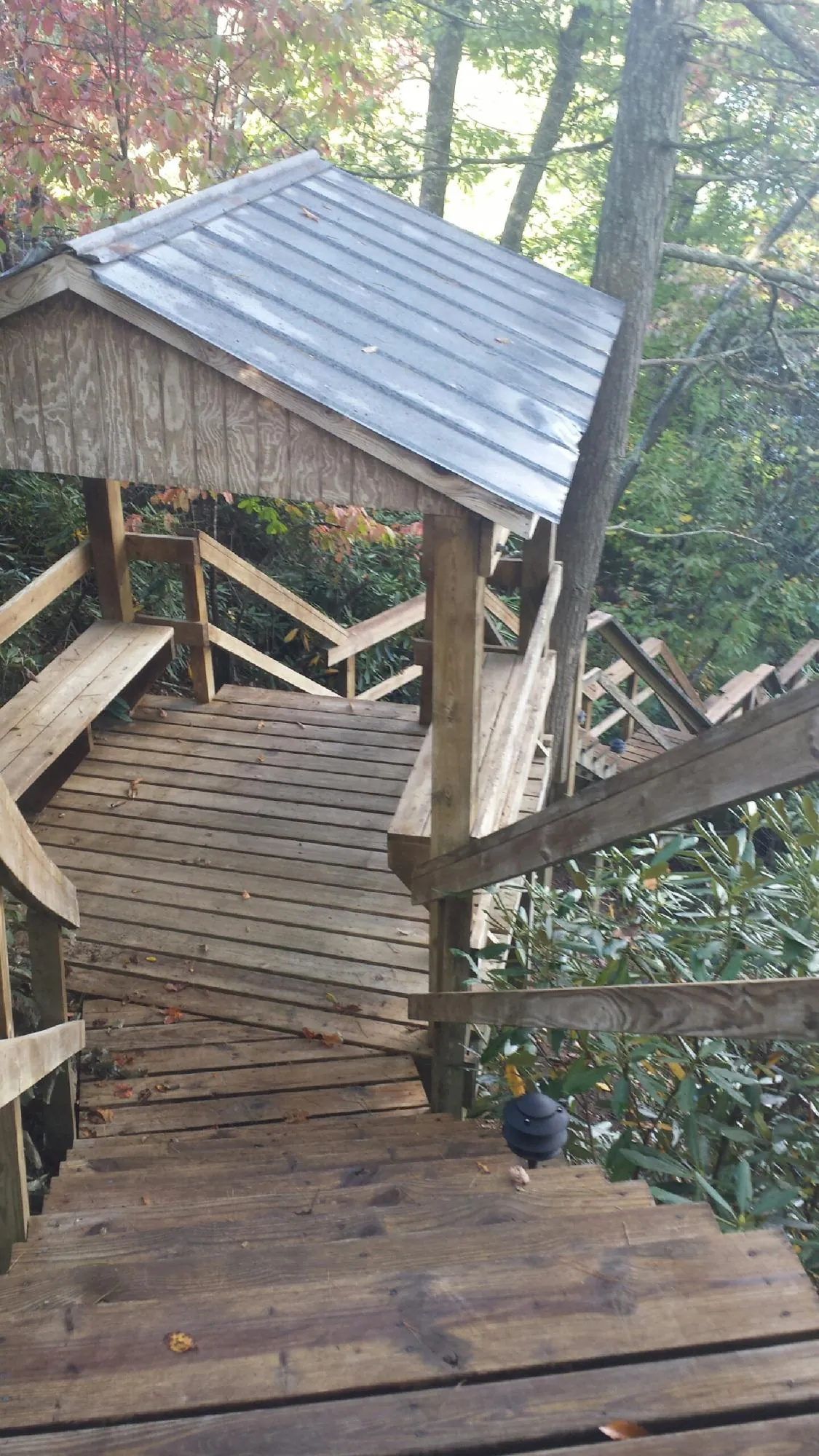 Metal roofed shelter over wooden steps on a wooded walkway — Skylight Repair & Installation work by our crew in Douglas